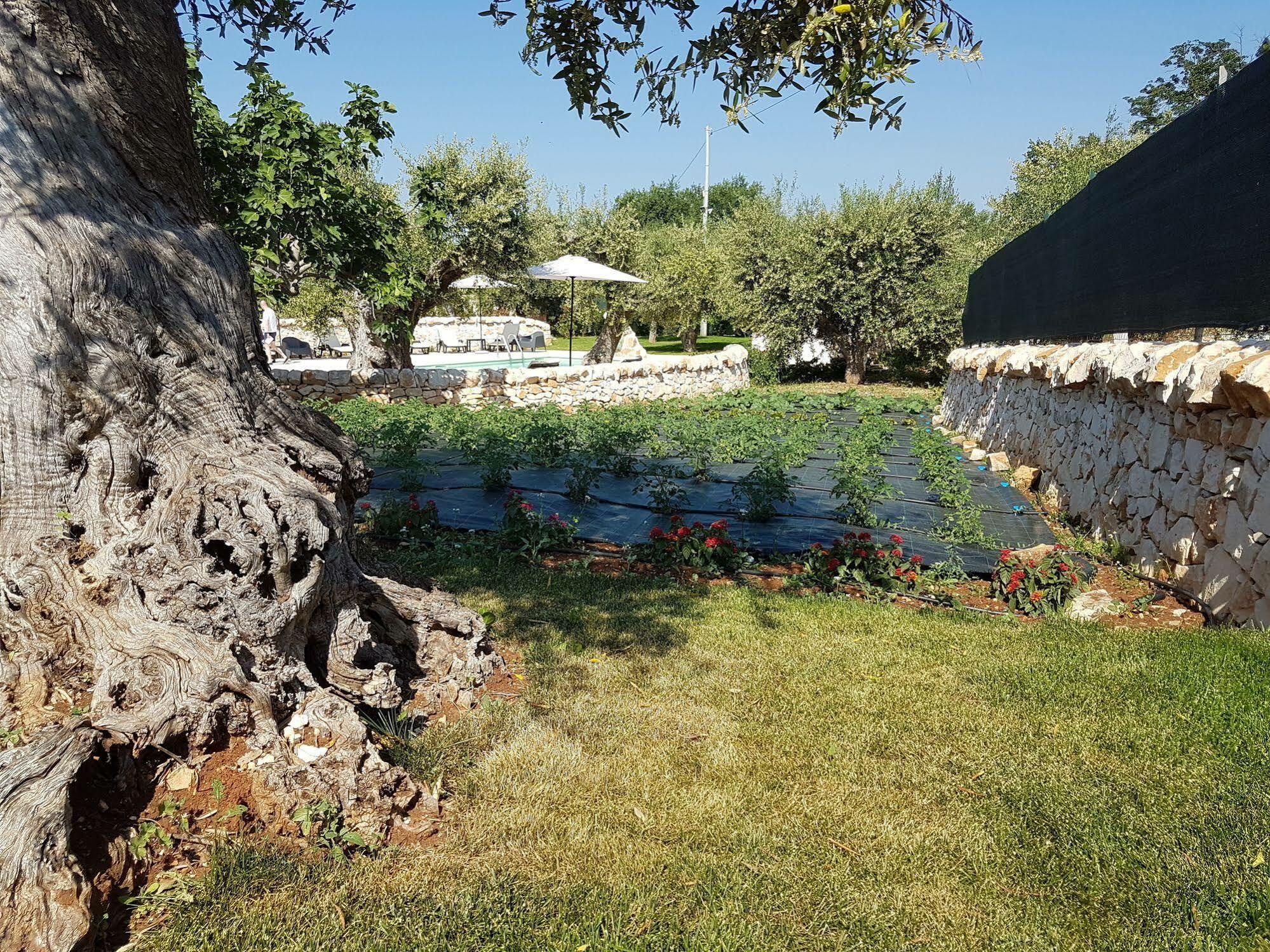 Almapetra Trulli Resort Locorotondo Εξωτερικό φωτογραφία